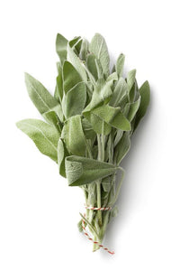 Green Sage