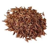 Caraway