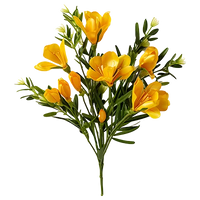 Freesia