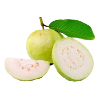 Guava