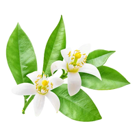 Neroli