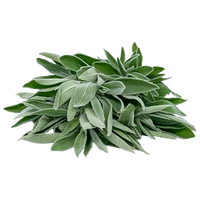 Sage