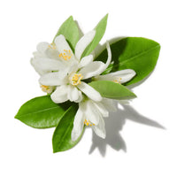 Tunisian Neroli