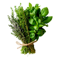 Herbal Notes
